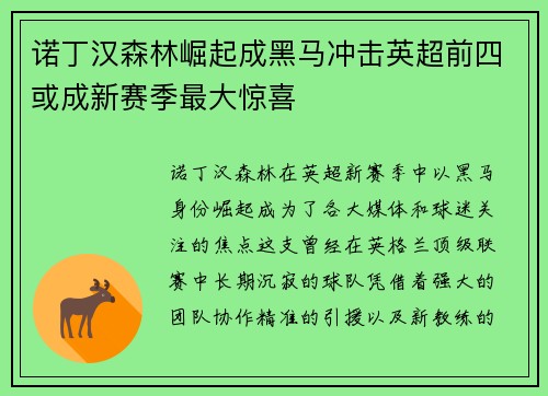 诺丁汉森林崛起成黑马冲击英超前四或成新赛季最大惊喜